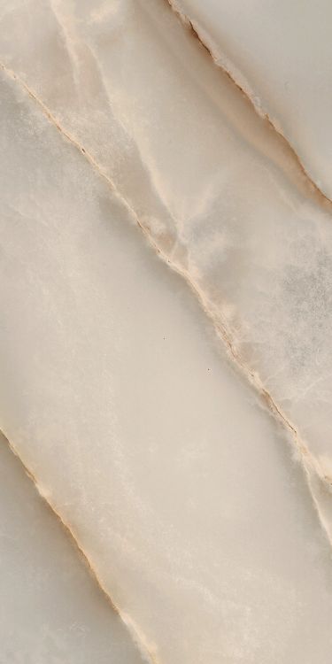 Reves Noisette Glossy 12 x 24
